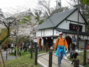 岡崎公園『桜茶屋』でランチ