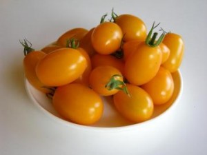 自家栽培したプチトマト