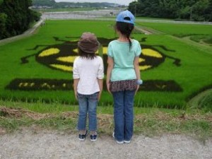 田んぼアート西尾　見学