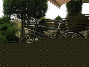 GIANT ESCAPE R3