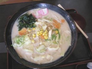 野菜たっぷりうどん