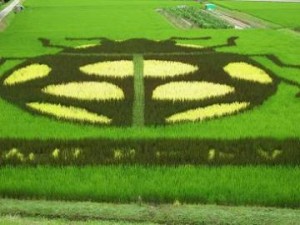 田んぼアート西尾