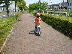 神戸川沿いをサイクリング