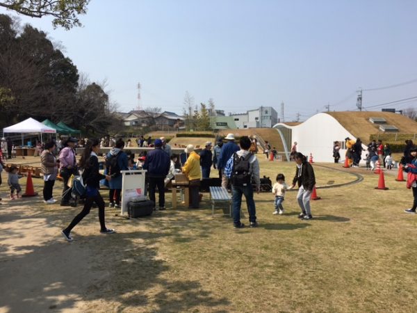 南吉の里イベント 菜の花と春の電車