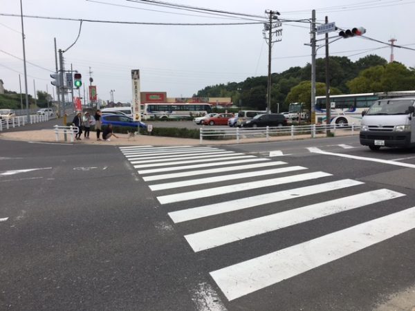 半田市の人気観光スポット 矢勝川の彼岸花