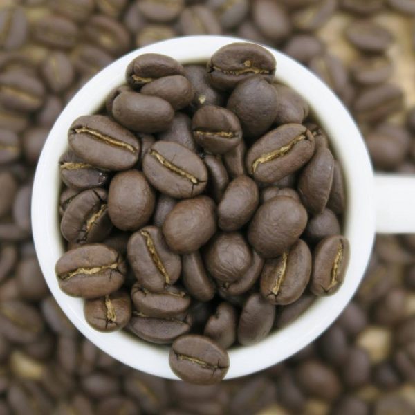 ザンビアのNCLL農園産のスペシャルティコーヒー