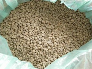 エチオピア・モカの生豆