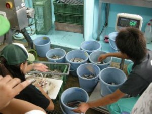 水族館の裏側を見学_2