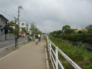 歩道のゴミ拾い