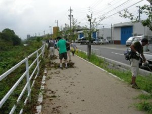 歩道の草刈り