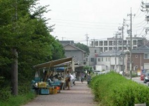 武道館横の朝市