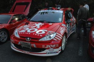 プジョー206 WRCレプリカ_1