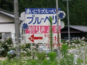 まいにちブルベリーの看板