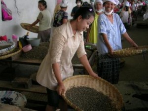 BATAK(バタック)人の一族 のMANDAILING族