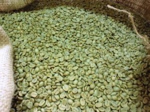 ガテマラ『メディナ農園』の生豆