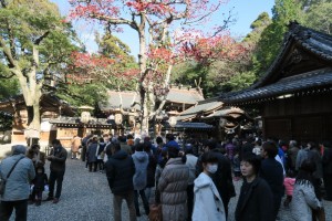 多賀神社