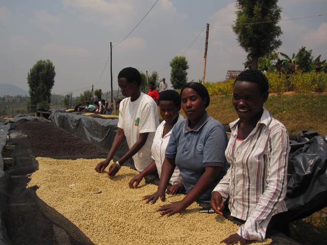 ルワンダ　コーヒー農家