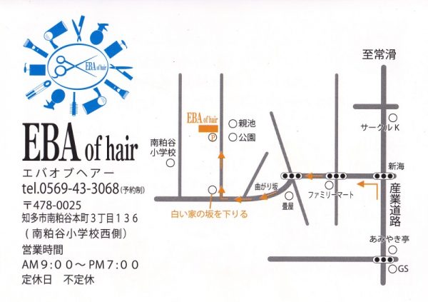 EBA of hair