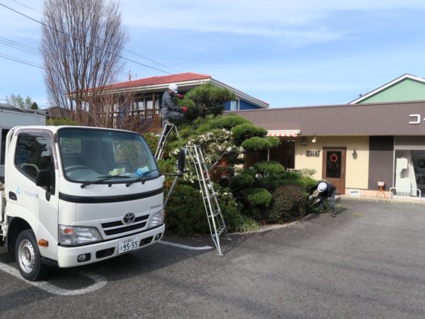 豊環境開発 庭の剪定作業2