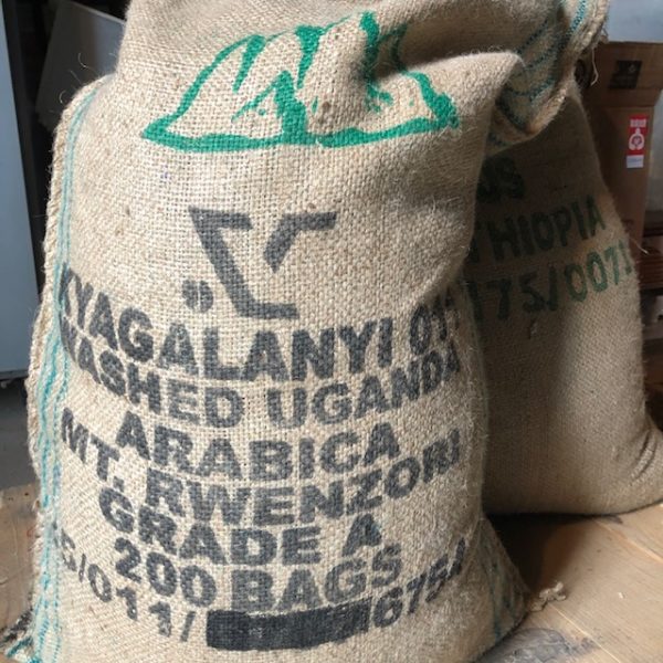 コーヒー豆 ウガンダ・アフリカンスノー 1