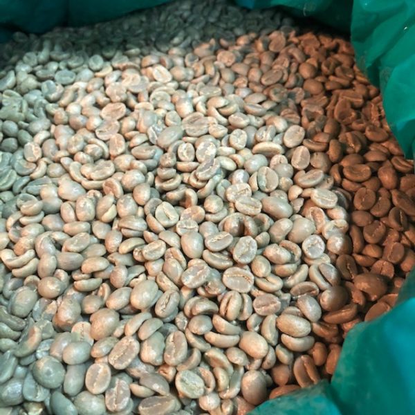 ウガンダ～アフリカンスノー生豆