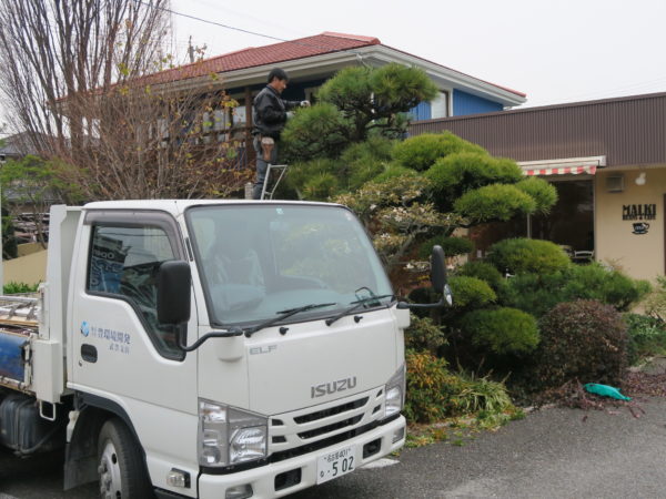 豊環境開発 庭の剪定_1