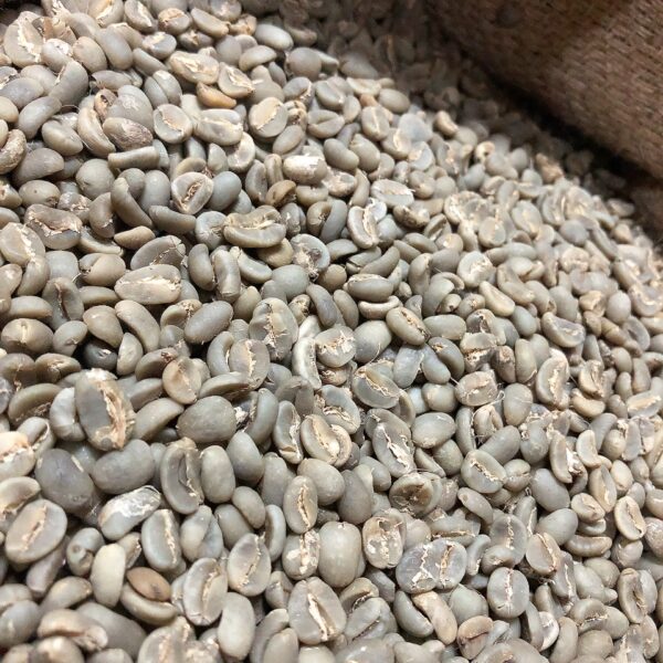 カロシトラジャ malkicoffee