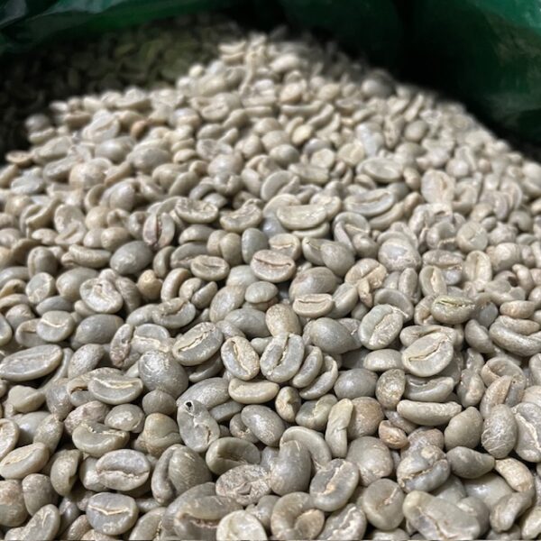 ペルー アルパカ アプロカシ