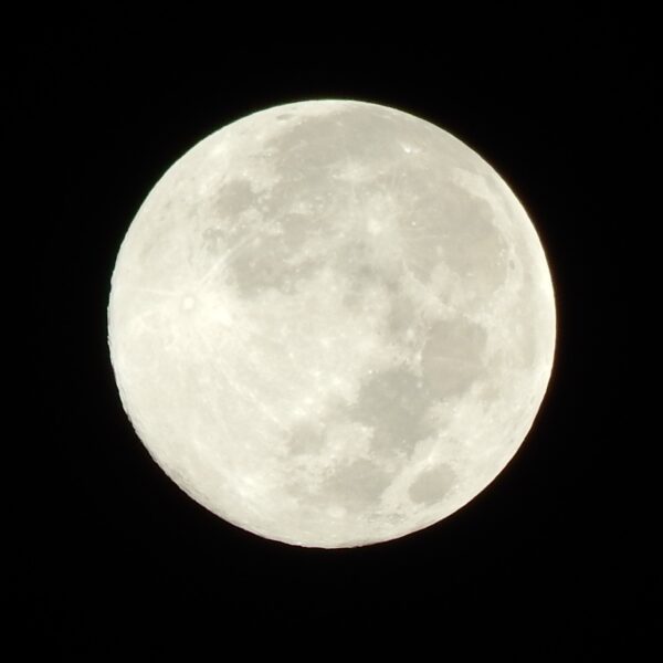 自家焙煎珈琲丸喜 半田市 2026年最初の満月 ウルフムーン