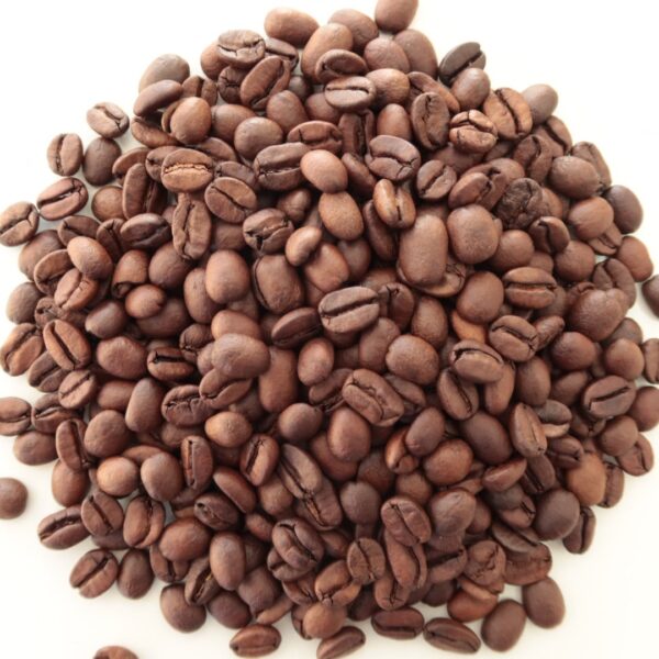 エルサルバドル・サンタホセフィータ 自家焙煎珈琲丸喜