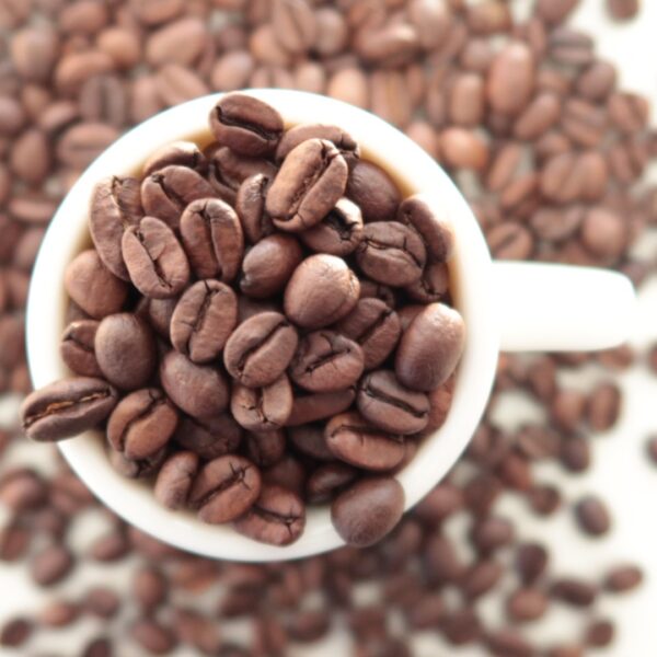 エルサルバドル・サンタホセフィータ