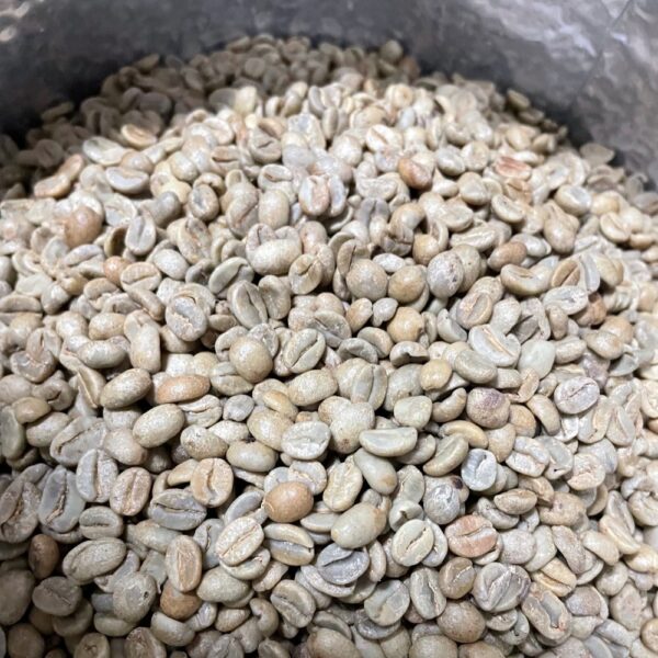 エルサルバドル サンタ・ホセフィータ農園 生豆