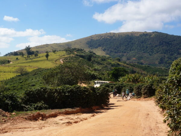 ブラジルパッセイオ