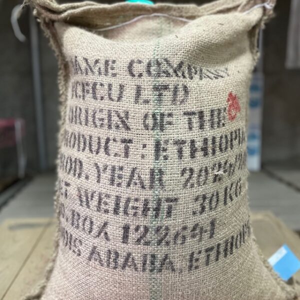 イルガチェフェ G1 コンガ