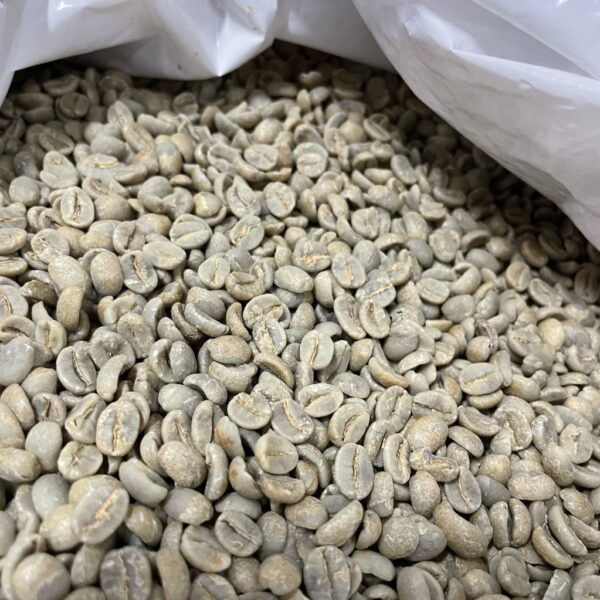 ブラジル パッセイオ