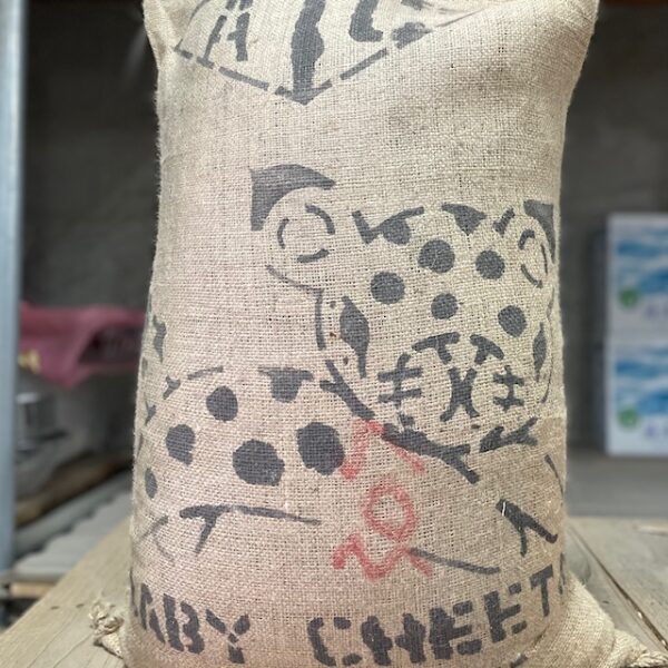 コンゴ民主共和国ベイビーチーターサンドライナチュラル