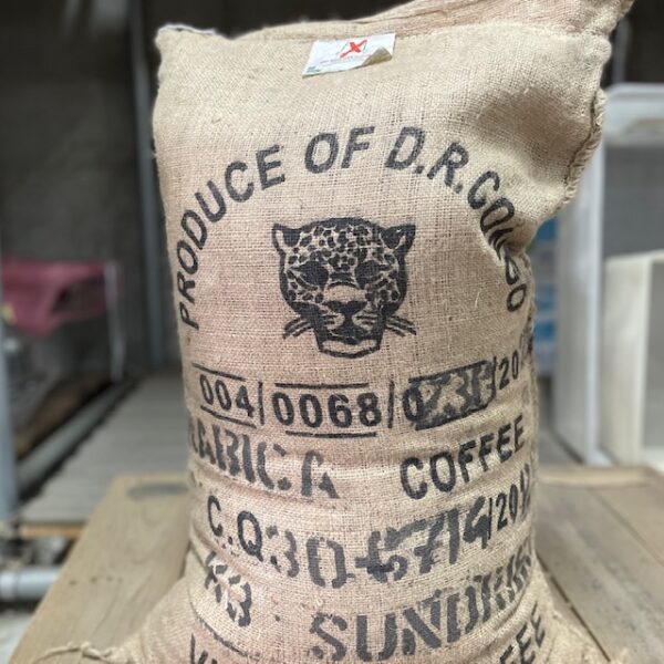 コンゴ民主共和国ベイビーチーターサンドライナチュラル