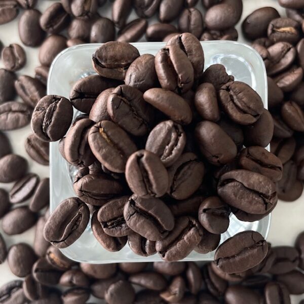 コンゴ民主共和国ベイビーチータサンドライナチュラル